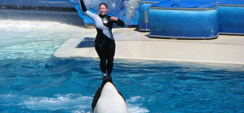 Sea World San Diego Sea World San Diego