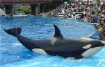 Sea World San Diego Sea World San Diego